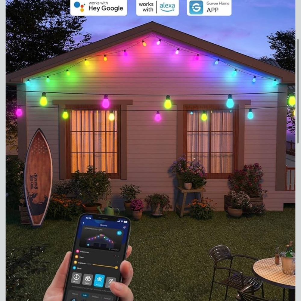 Govee LED Bulb String Lights - Picture 4 of 8